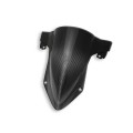 DBK Special Parts (Ducabike) Twill Carbon Fiber Windscreen for BMW S1000RR / M1000RR (2020+) DBK Special Parts (Ducabike) Twill Carbon Fiber Windscreen for BMW S1000RR / M1000RR (2020+)
